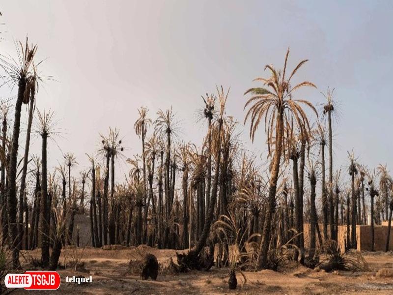 ALERTE TSGJB Tata : l’ANDZOA lance une campagne de prevention des feux d’oasis a Adis