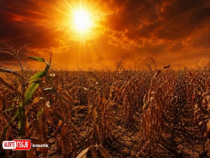 ALERTE TSGJB El Nino : des records de chaleur dans le Pacifique menacent le climat mondial
