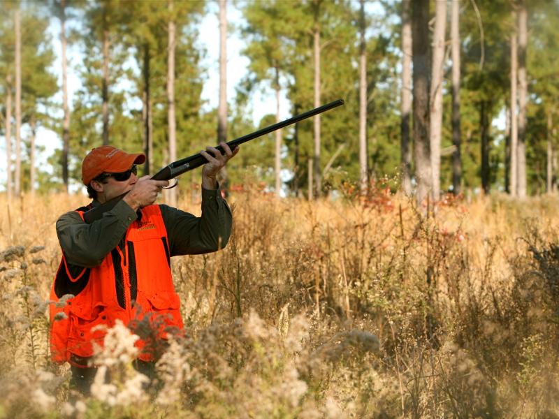 National Report on Hunting