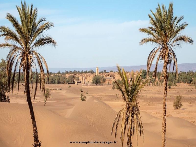 Oasis de M’Hamid El Ghizlane : defis climatiques et gestion durable au sud du Maroc
