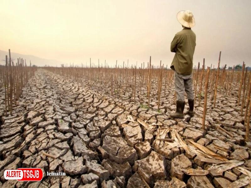 ALERTE TSGJB El Niño 2026-2027 : l’OMM alerte sur un risque accru de phenomenes meteorologiques extremes