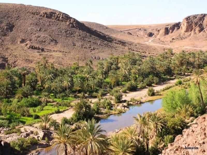 Zagora : 624 MDH pour la rehabilitation des oasis et le developpement agricole durable 