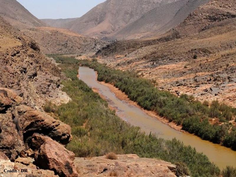 Pluies à Drâa-Tafilalet : un renouveau agricole et hydrique pour les oasis marocaines