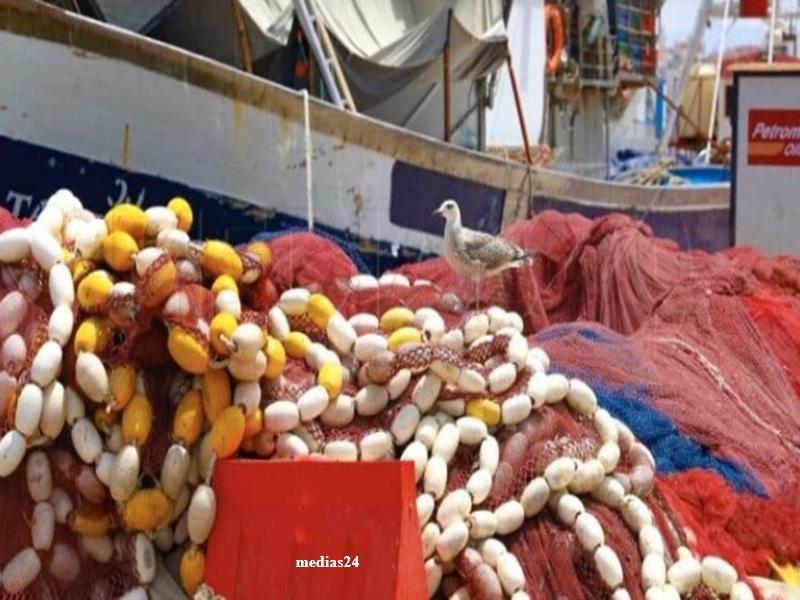 Peche au Maroc 2026 : valeur en hausse a 2,36 MMDH malgre la baisse des volumes