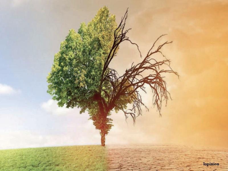 Maroc : vieillissement, climat et transition énergétique