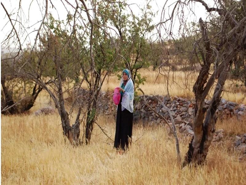 L'habit de la femme amazighe a de quoi charmer l’œil