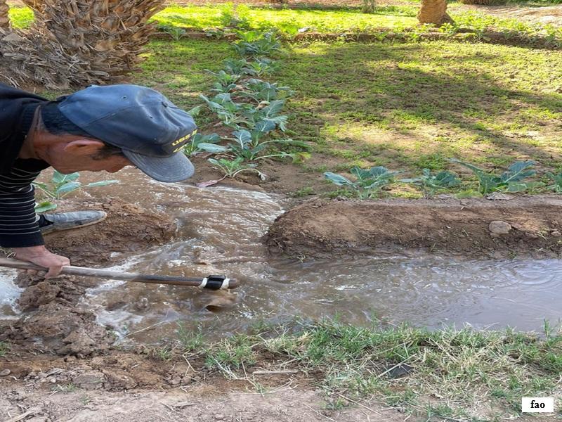 Oasis de Drâa-Tafilalet : restauration, résilience et développement durable