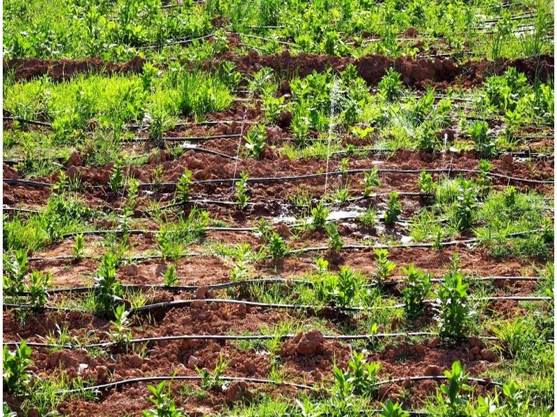 La surexploitation illégale des eaux souterraines persiste dans les régions en stress hydrique, malgré les interdictions