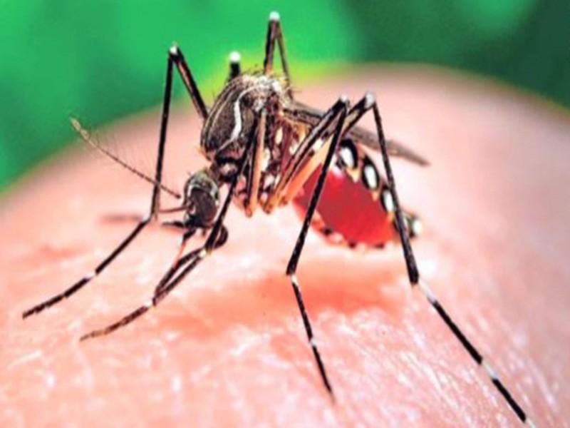 Le virus Zika arrive en Afrique
