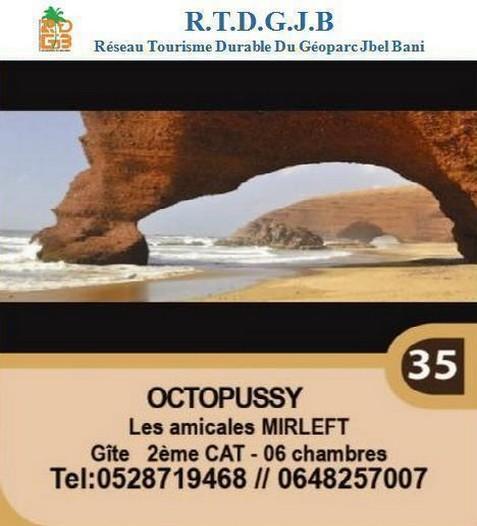 Gite OCTOPUSSY